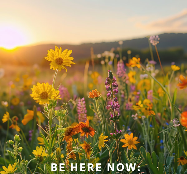 BE HERE NOW: