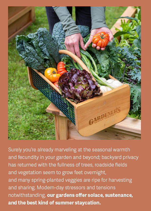 Surely you’re already marveling at the seasonal warmth and fecundity in your garden and beyond; backyard privacy has returned with the fullness of trees, roadside fields and vegetation seem to grow feet overnight, and many spring-planted veggies are ripe for harvesting and sharing. Modern-day stressors and tensions notwithstanding, our gardens offer solace, sustenance, and the best kind of summer staycation.