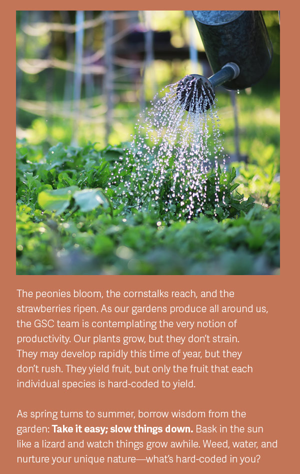 The peonies bloom, the cornstalks reach, and the strawberries ripen. As our gardens produce all around us, the GSC team is contemplating the very notion of productivity. Our plants grow, but they don’t strain. They may develop rapidly this time of year, but they don’t rush. They yield fruit, but only the fruit that each individual species is hard-coded to yield.  As spring turns to summer, borrow wisdom from the garden: Take it easy; slow things down. Bask in the sun like a lizard and watch things grow awhile. Weed, water, and nurture your unique nature—what’s hard-coded in you?