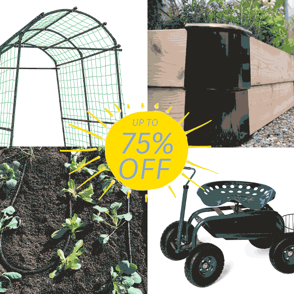 Hot Deals Summer Steals | Up to 40% OFF