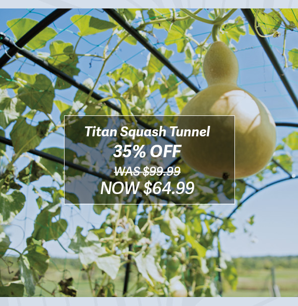 Titan Squash Tunnel 25% OFF WAS $99.99 NOW $74.99