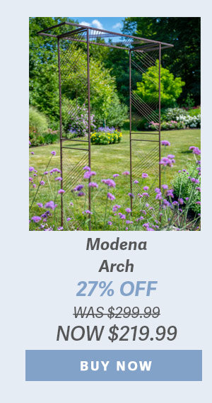 Modena Arch 25% OFF - WAS $299.99 NOW $224.99 - BUY NOW