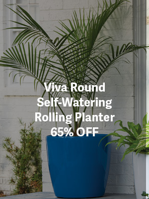 Viva Round Self-Watering Rolling Planter 65% OFF