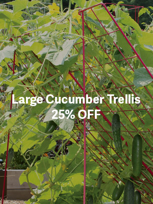 Large Cucumber Trellis - 25% OFF