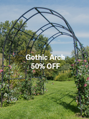 Gothic Arch - 50% OFF