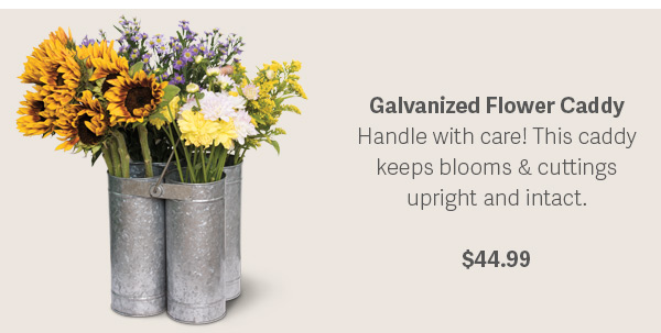 Galvanized Flower Caddy | Handle with care! This caddy keeps blooms & cuttings upright and intact. $44.99
