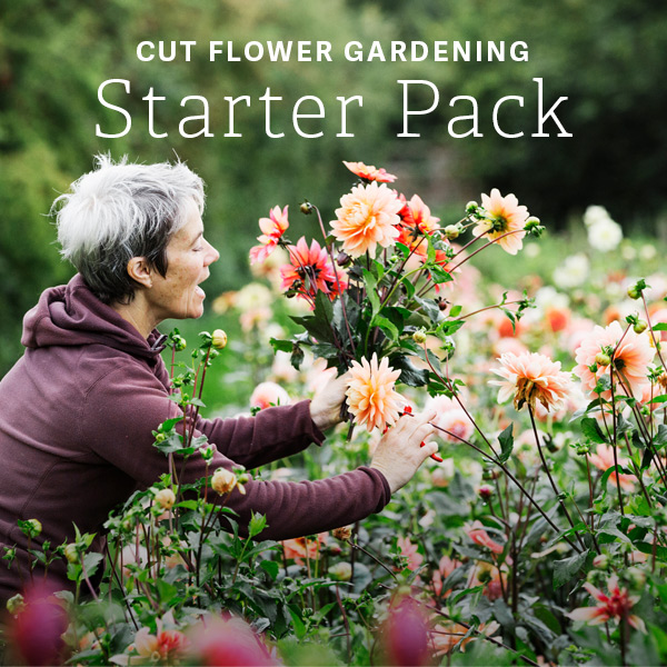 Cut Flower Gardening - Starter Pack