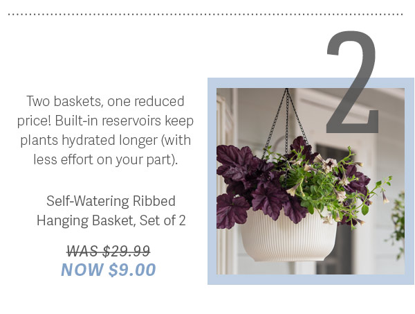 2) Two baskets, one reduced price! Built-in reservoirs keep plants hydrated longer (with less effort on your part). Self-Watering Ribbed Hanging Basket, Set of 2 - WAS $29.99 NOW $9.00