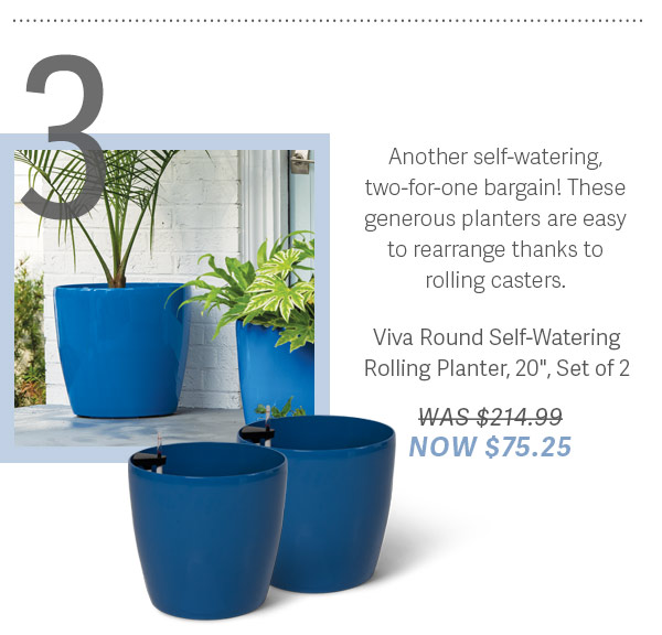 3) Another self-watering two-for-one bargain! These generous planters are easy to rearrange thanks to rolling casters. Viva Round Self-Watering Rolling Planter, 20", Set of 2 - WAS $214.99 NOW $75.25