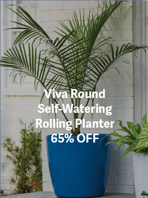 Viva Round Self-Watering Rolling Planter - 65% OFF