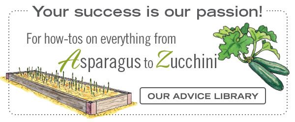 Your success is our passion! For how-tos on everything from Asparagus to Zucchini - Our Advice Library