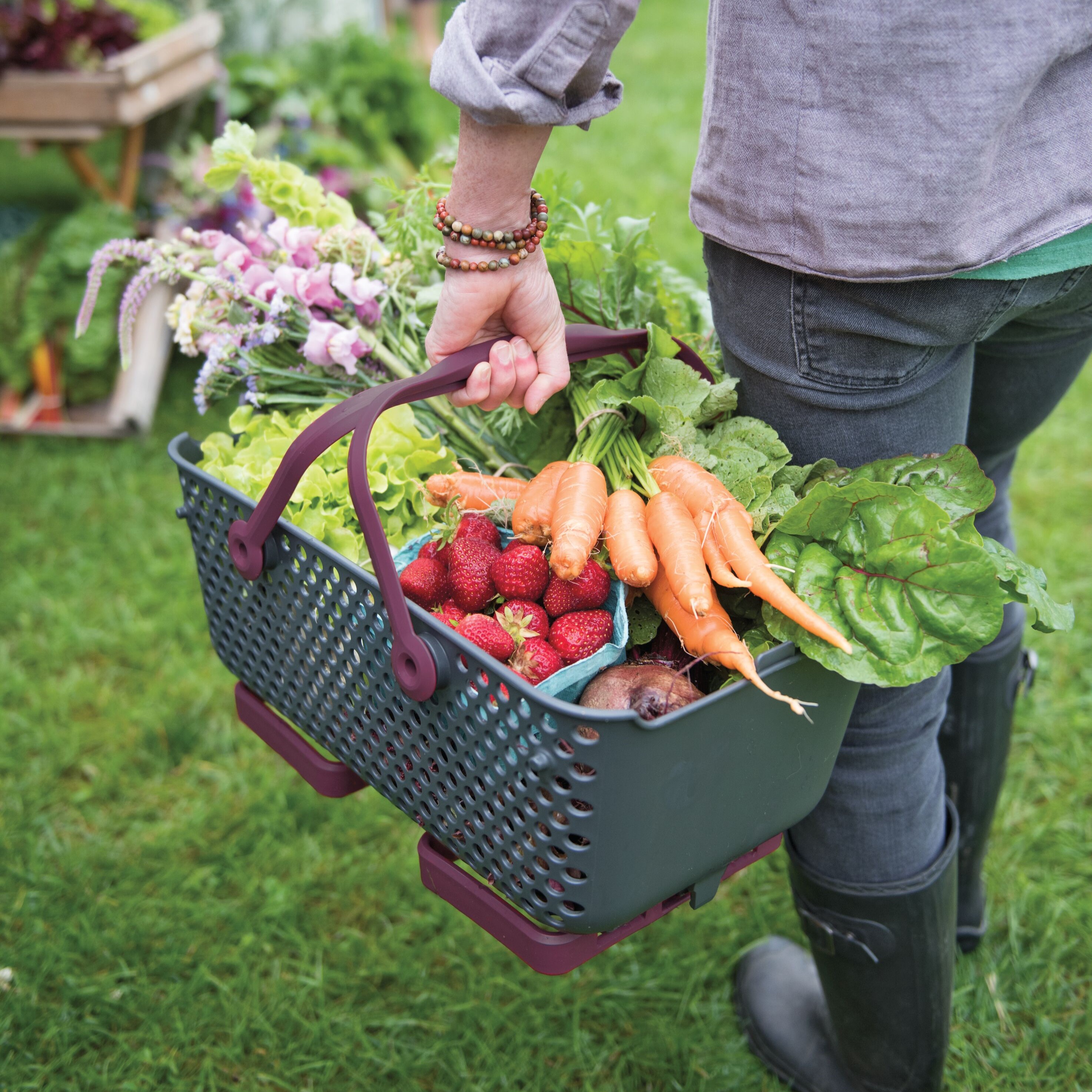 Pictured: Mod Hod with Vegetables