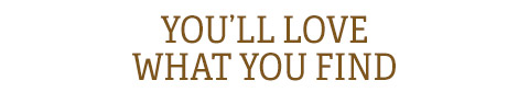 You'll Love What You Find