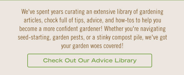 We've spent years curating an extensive library of gardening articles, chock full of tips, advice, and how-tos to help you become a more confident gardener! Whether you're navigating seed-starting, garden pests, or a stinky compost pile, we've got your garden woes covered!