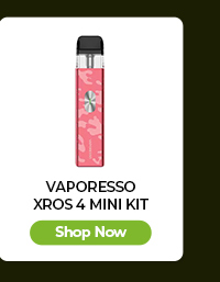 Vaporesso XROS 4 Mini Kit