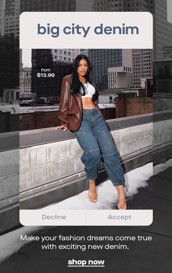 big city denim