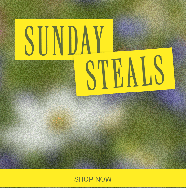 SUNDAY STEALS SHOP NOW