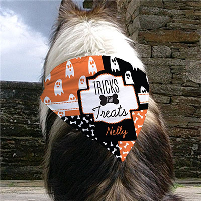 Personalized Tricks for Treats Pet Bandana