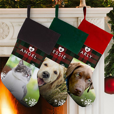 Personalized Plaid Pet Photo Stocking