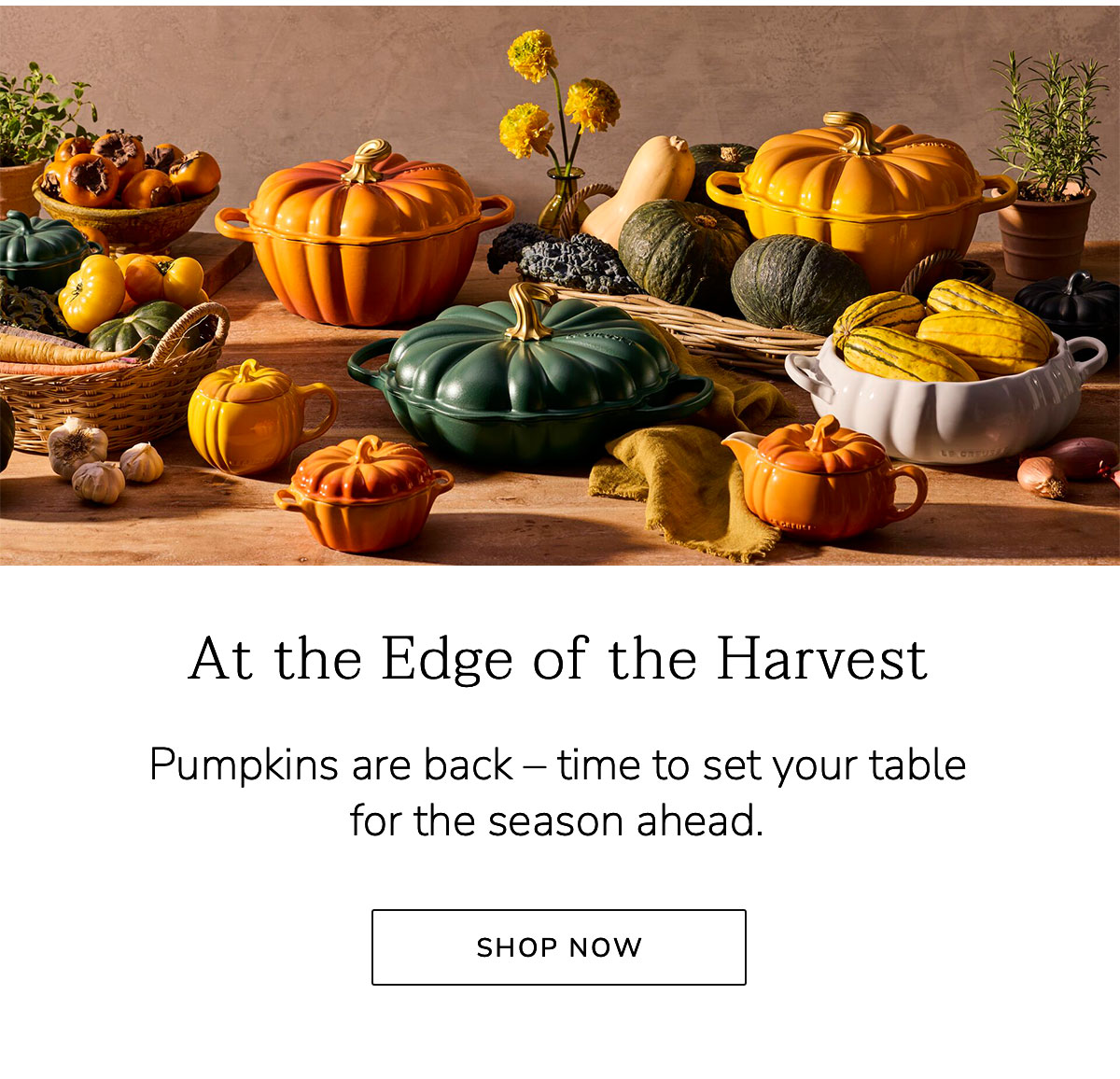 At the Edge of the Harvest: Pumpkins are back – time to set your table for the season ahead - SHOP NOW