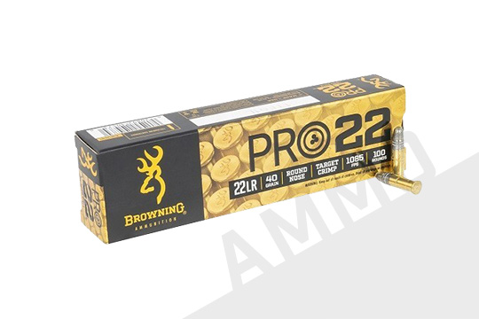 22 LR Ammo