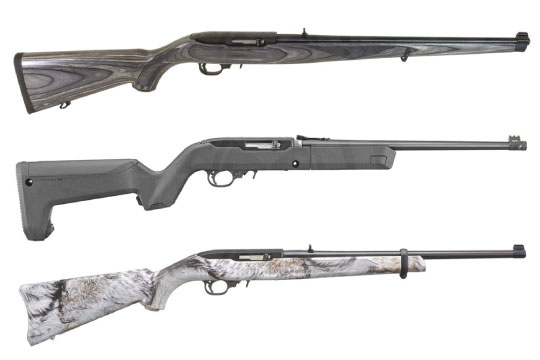 Article-Ruger 10/22 DAY