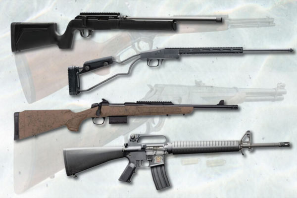 Article-The Latest Rifles for 2024