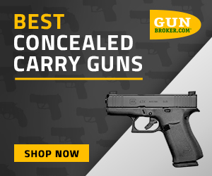 MR#2-Best Concealed Carry Guns