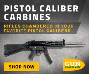 Pistol Caliber Carbines - Rifles Chambered In Your Favorite Pistol Calibers