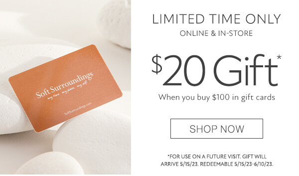 $20 gift when you buy $100 in gift cards