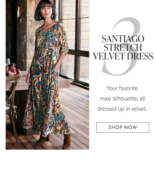 Santiago Stretch Velvet Dress