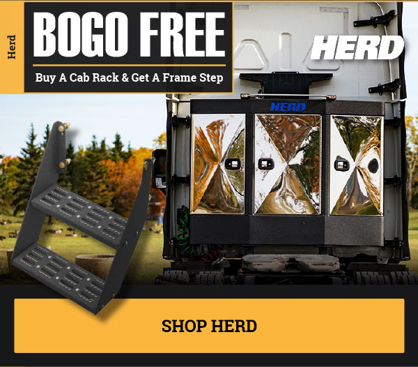 Buy one get one FREE! Buy a car rack & get a frame step!