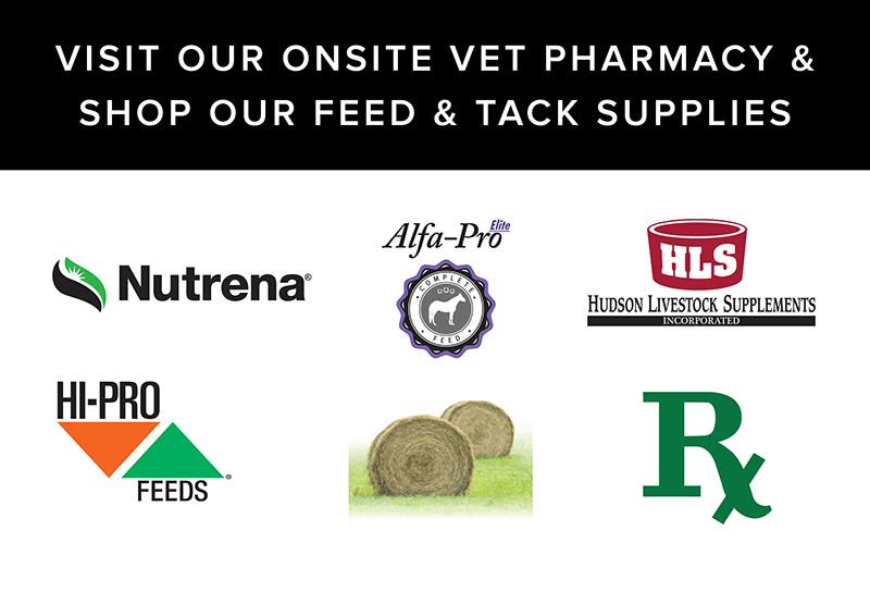 Visit our onsite Vet Pharmacy and SHOP our Feed & Tack supplies!