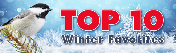 Shop Our Top 10 Winter Favorites!