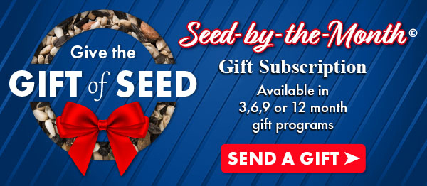 Gift of Seed