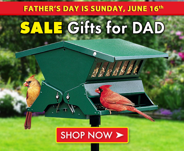 Save on Gifts for Dad