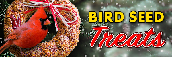 Hang Festive, Bird Edible Treats Outdoors This Holiday Season!