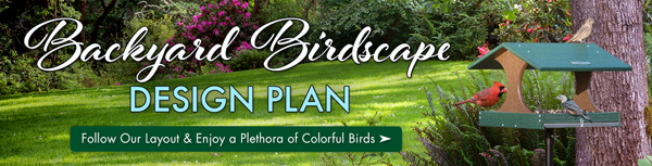 Birdscape Your Backyard!