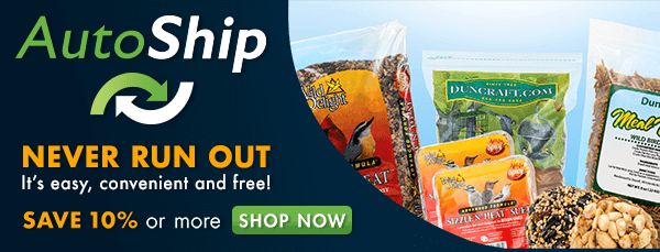 Save 10% Or More on Seed and Never Run Out! Sign Up for AutoShip! It's Easy, Convenient and Free! Shop Now!