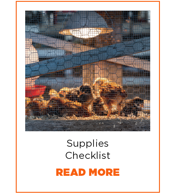 Supplies Checklist. Read More