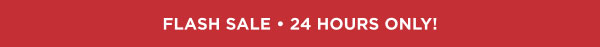 Flash Sale • 24 Hours Only!