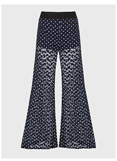 Blue and White Polka Dot Sheer Mesh Trousers