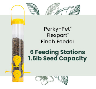 Perky-Pet Flexport Finch Feeder: 6 Feeding Stations - 1.5lb Seed Capacity | Shop Now 