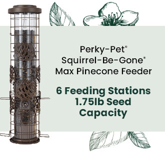 Perky-Pet Squirrel-Be-Gone Max Pinecone Feeder: 6 Feeding Stations - 1.75lb Seed Capacity | Shop Now 