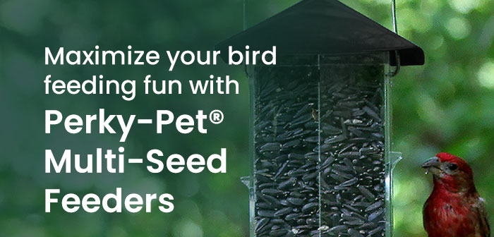 Maximize your bird feeding fun with Perky-Pet Multi-Seed Feeders