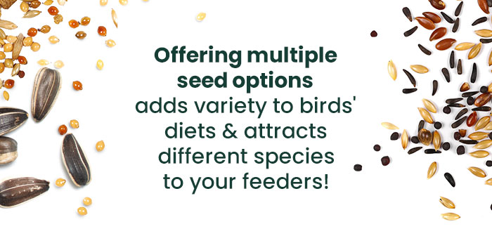 Offering multiple seed options adds variety to birds' diets & attracts different species to your feeders!