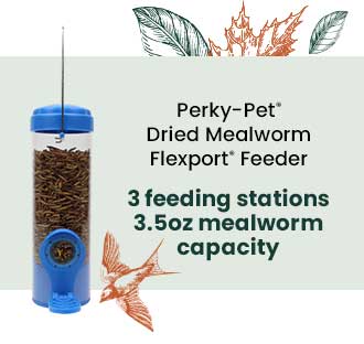 Perky-Pet Dried Mealworm Flexport Feeder: 3 Feeding Stations - 3.5oz Mealworm Capacity | Shop Now 