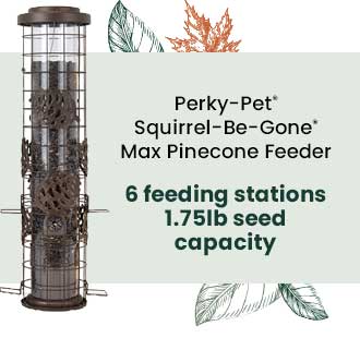 Perky-Pet Squirrel-Be-Gone Max Pinecone Feeder: 6 Feeding Stations - 1.75lb Seed Capacity | Shop Now 