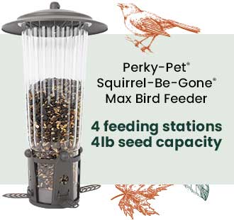 Perky-Pet Squirrel-Be-Gone Max Bird Feeder: 4 Feeding Stations - 4lb Seed Capacity | Shop Now 