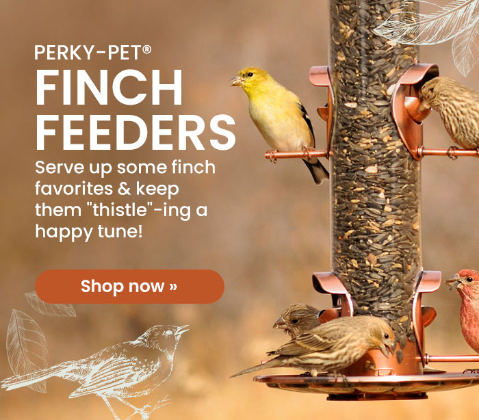 Perky-Pet Finch Feeders: Serve up some finch favorites & keep them "thistle"-ing a happy tune! | Shop Now 